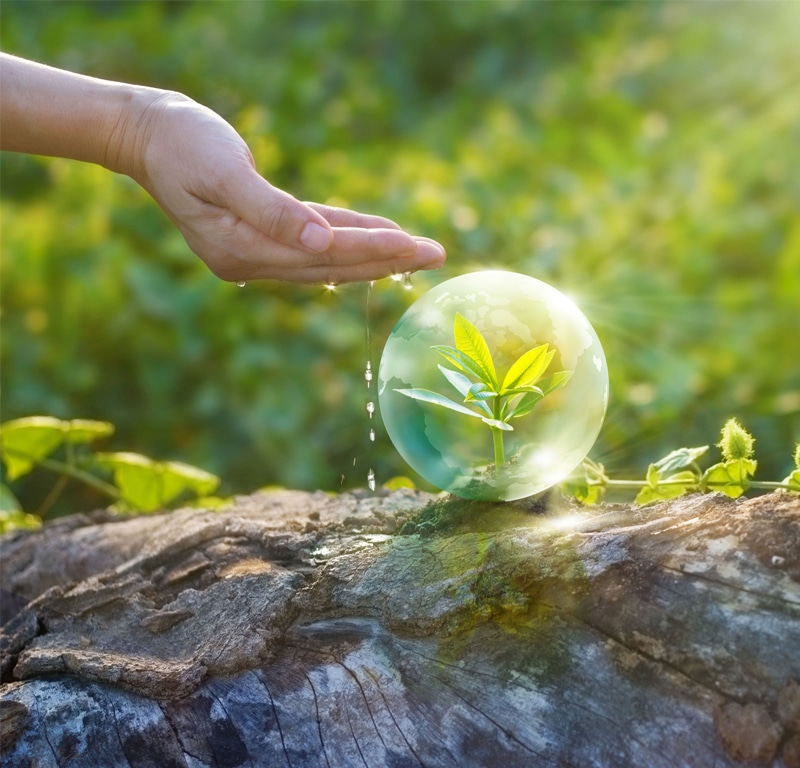 Des communicants éco-responsables : des gestes simples en faveur de l’environnement