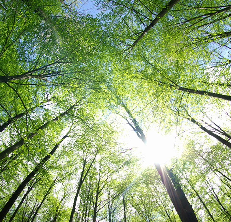 communication écoresponsable